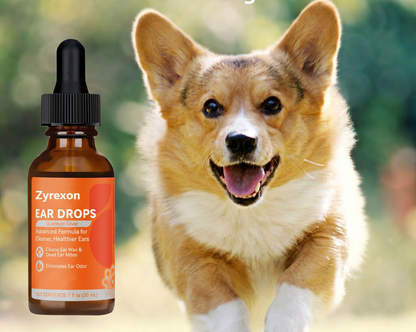Keep Your Pet’s Ears Clean, Healthy & Comfortable