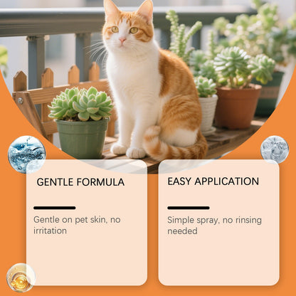 Keep Your Pet’s Ears Clean, Healthy & Comfortable